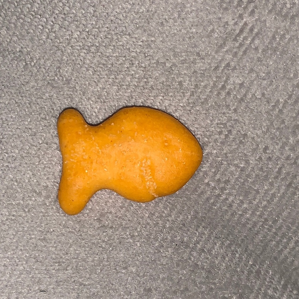 Meet your Posher, Sam